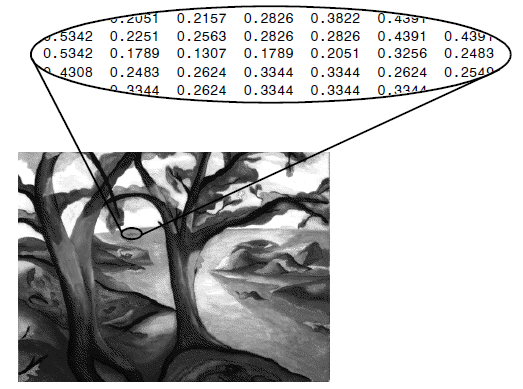 Figure 1: A small section of an image represented in Matrix Format Note values of the pixel average to a single value