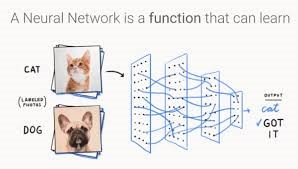 Figure 3: Output of an Image: Cat. Input Image – Formulation of values – Identification of pattern – Training of the images- Test data validation