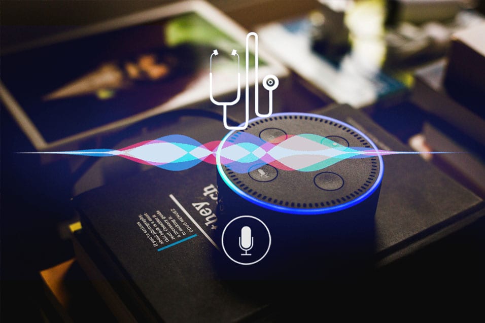 Voice Assistant Testing with a Proprietary Test Automation Framework