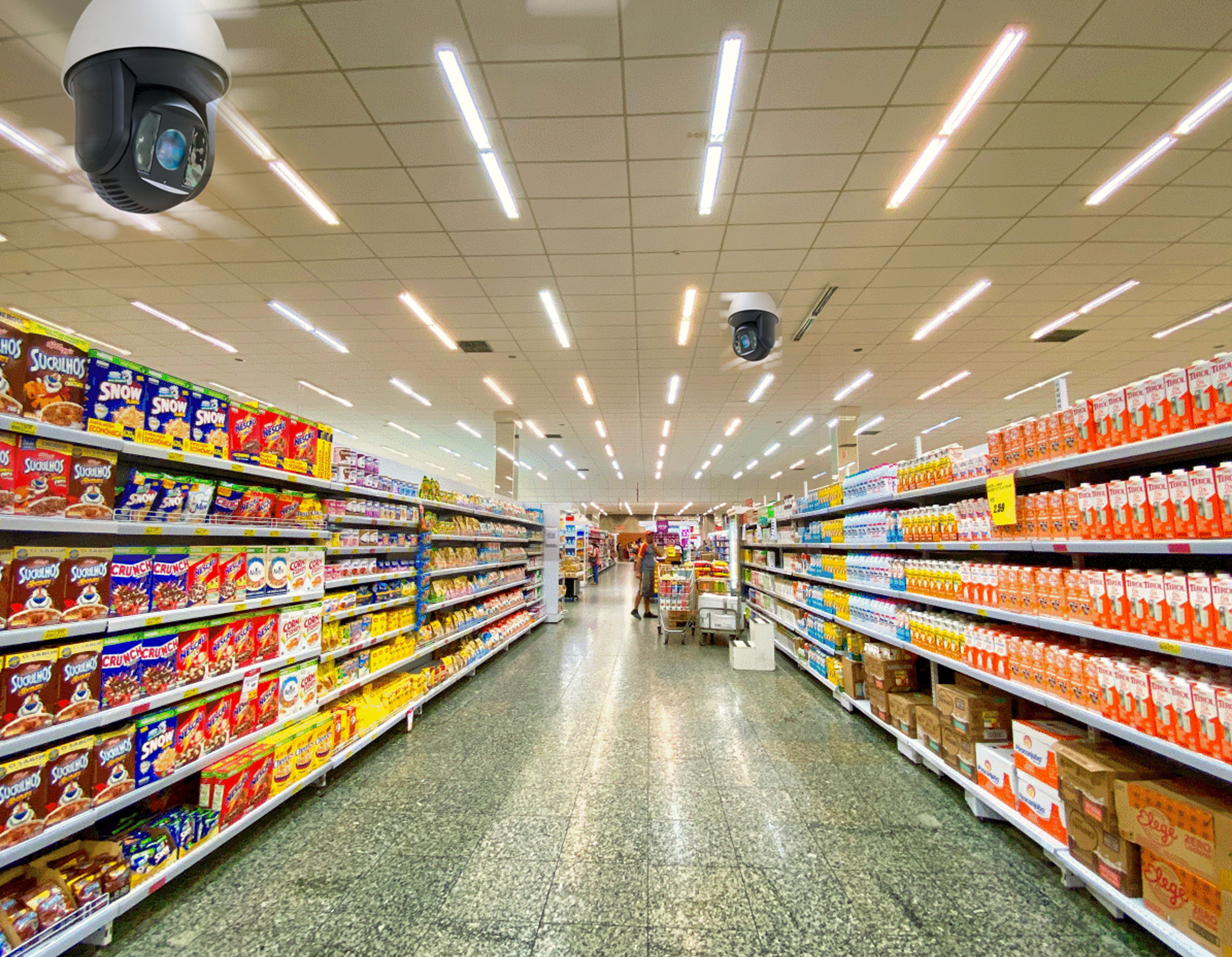 Intelligent Video Analytics in Grocery Retail