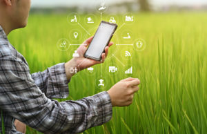 Transformation numérique dans l'agriculture
