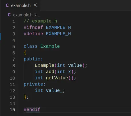 The example.h file