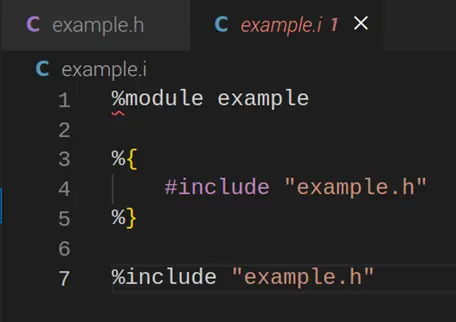 The example.i file