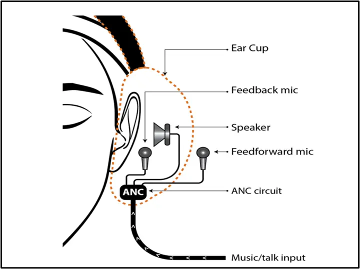 Ear Cup