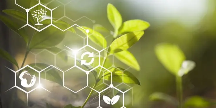 How Vertical Farming Operations