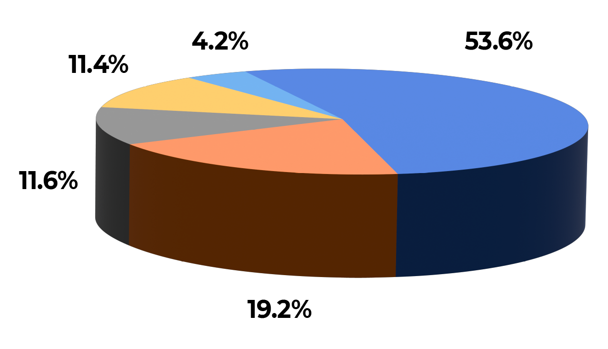 Support Team: Backbone of Software Success Support Teams-02